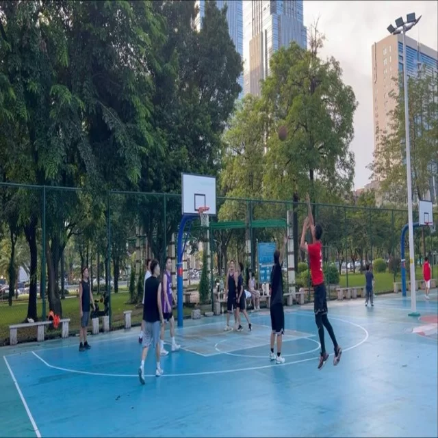 篮球季后赛走势解析：数据视角的战略解读
